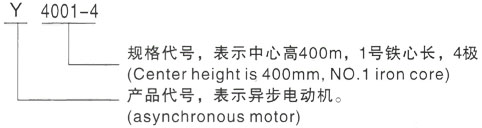 西安泰富西玛Y系列(H355-1000)高压YE2-355L-4三相异步电机型号说明