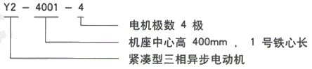 YR系列(H355-1000)高压YE2-355L-4三相异步电机西安西玛电机型号说明